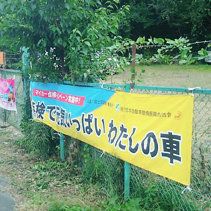 松島ハーフマラソン大会